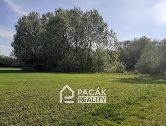 Prodej rybník, 15 995 m2 - Kožušany-Tážaly - Kožušany - 5