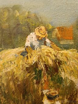 Obraz Zdeněk Šutera 1950, Kravky olej 39x39 - 5