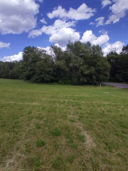 RD s pozemkem 6175m2 Závišice - 5