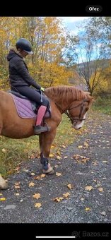 Prodám valáška - 5