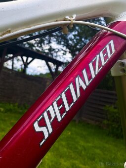 Specialized demo 8 - 5