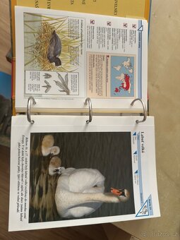 Encyklopedie Zvířat - 5