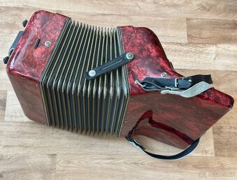 Akordeon Delicia Melodia III - 5