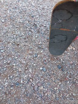 Skateboard - 5
