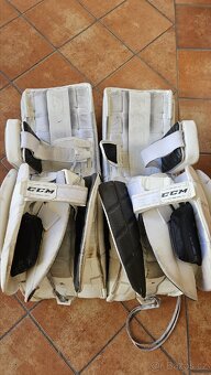 Betony CCM EFLEX 5 33+1 - 5