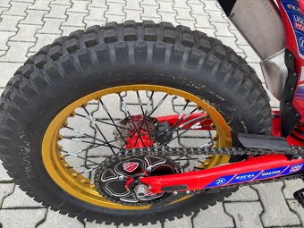 Beta EVO 300 2T MY2024 - 5