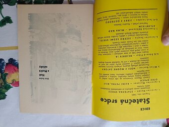 Miloš Kosina: Hoši z Modré zatoky - 5