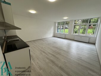 Pronájem bytu 1+kk 55 m², Ústí nad Labem - Střekov - 5