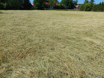 seno malé balíky - 5