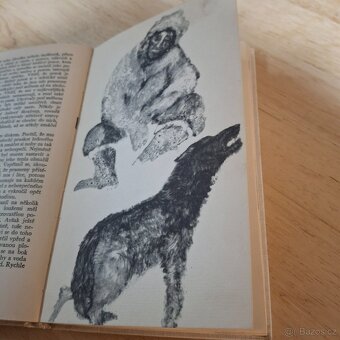 Jack London volani divočiny - 5