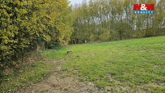 Prodej pozemků, 7881 m², Jedlí - 5