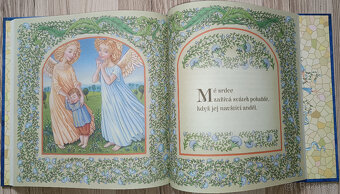 Sri Chinmoy - Andělé a víly - 5