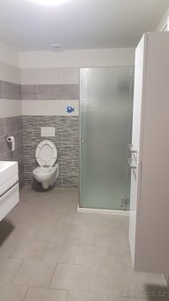 Pronájem bytu 4+kk - 5