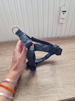Kšíry pro psa na malé plemeno - 5