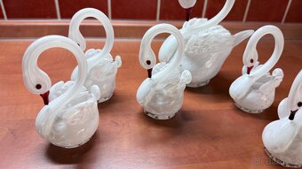 Foukané labutě - 5