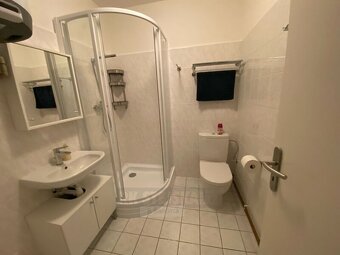 Pronájem bytu 1kk, 22 m2, zahrada, Mánesova ul., České Buděj - 5