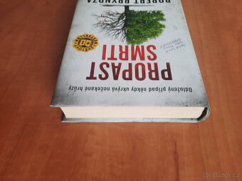 Robert Bryndza - Propast smrti - 5