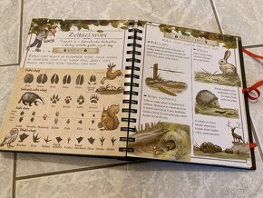 Příručka pro kluky Dobrodruhy - 5