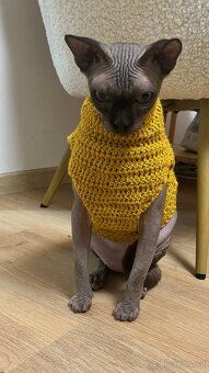 Oblečky pro Sphynx - 5