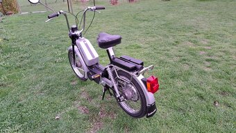 Babetta - 5