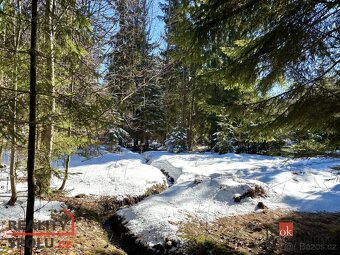 Prodej, pozemky/rybník, 5094 m2, Na Moravě 505, Desná II, 46 - 5