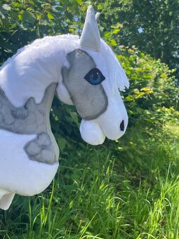 Hobby horse - 5