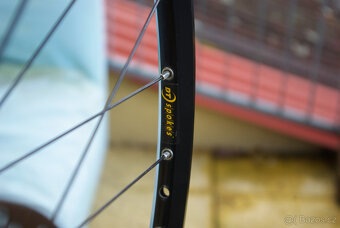 zadni kolo Cannondale CODA/Mavic X317 - 5