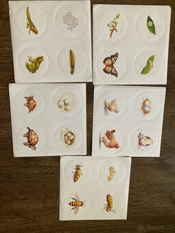Montessori dřevěné hračky-ruční práce - 5