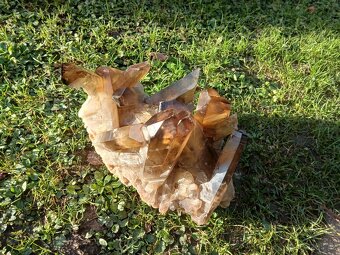 Citrin , velká drůza 6kg - 5