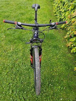 Dámské 29" horské hliníkové kolo Specialized, rám 19"(L) - 5