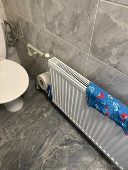 Pronajmu byt v domeku 2+kk v Libiši U rozvodny - 5