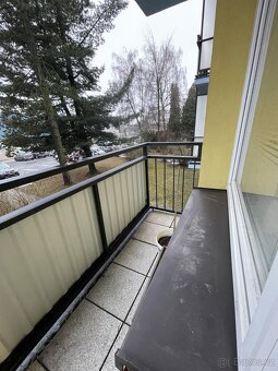 Pronájem hezkého bytu 1+1 - 5