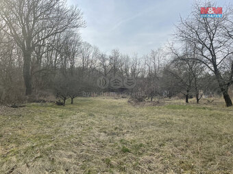 Prodej ovocného sadu, 1184 m², Nová Ves - 5