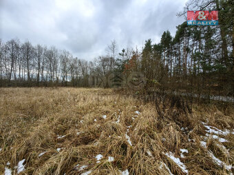 Prodej pole, 4752 m², Borohrádek - 5