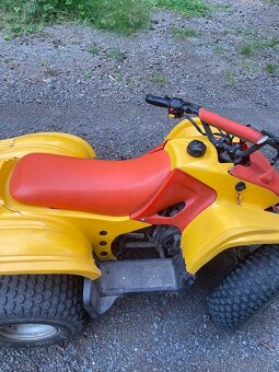 Čtyřkolka bombardier - 5