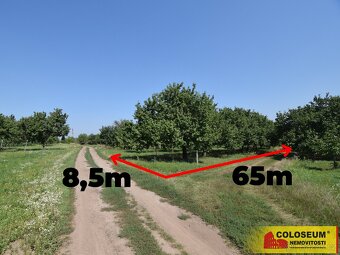 Velké Pavlovice, stavební parcela, 550 m2, investice, klidná - 5