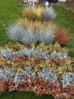 Prodáme vánoční jmelí 🌿🌿 - 5