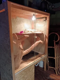 Prodám velké terárium ( bez Leguana) - 5