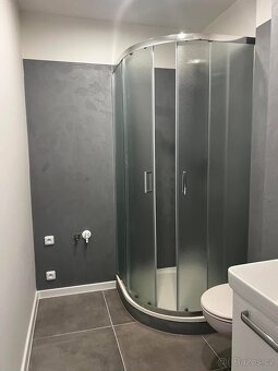 Byt 3+kk k pronájmu - 5