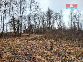 Prodej pozemku k bydlení v Staré Vodě, 2966 m2 - 5