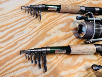 SET 2 + 2 / TELESKOPICKÉ PRUTY ALBASTAR PARTNER TELE CARP 60 - 5