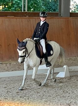 TOP pony na prodej - 5