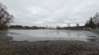 Rybník o výměře 5 ha Častrov u Žirovnice - 5