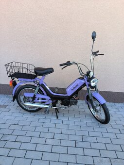 Babetta - 5