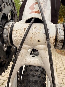 Kolo scott scale - 5