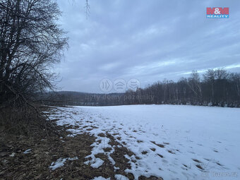 Prodej louky, 38704 m², Blatno - 5