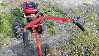Vari Tera, Briggs & Stratton Motor Intek Pro 65 - 5