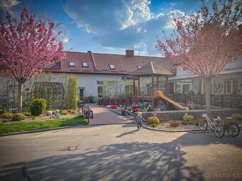 servírka - číšník - 5