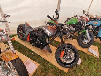 Harley Davidson Softail Custom - 5