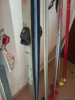 Běžky Artis Polar - 5